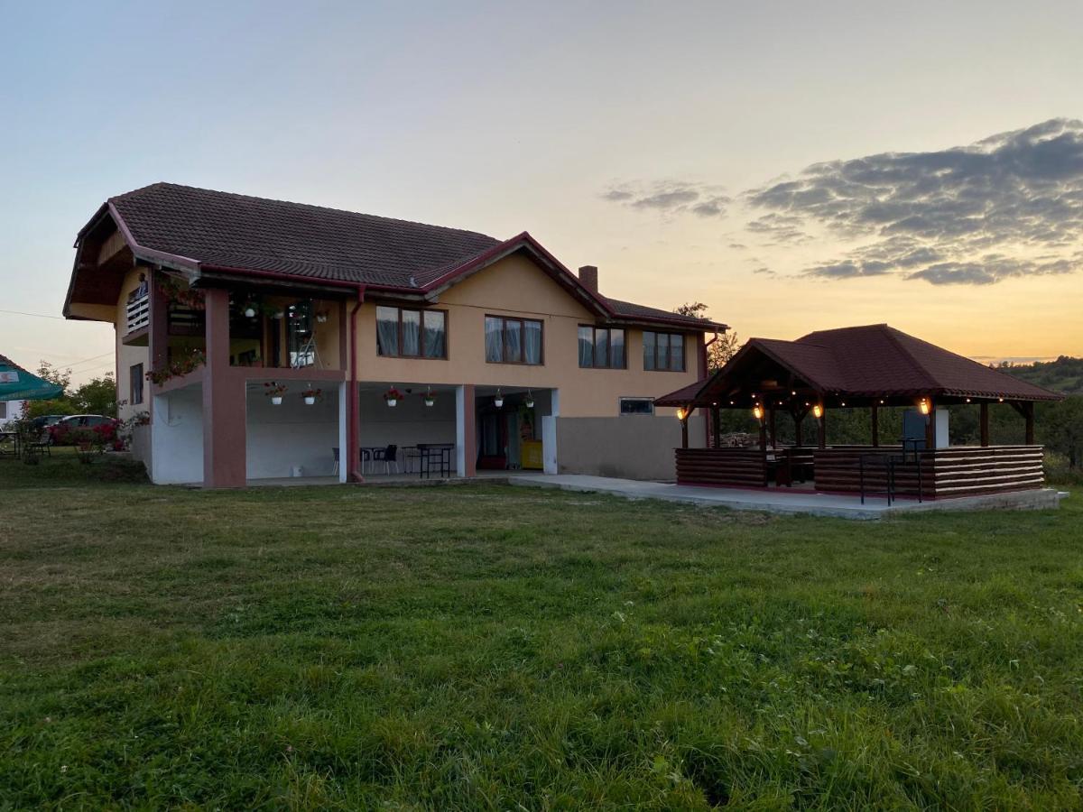 Casa De Vacanta Madalina Novaci-Străini Екстериор снимка