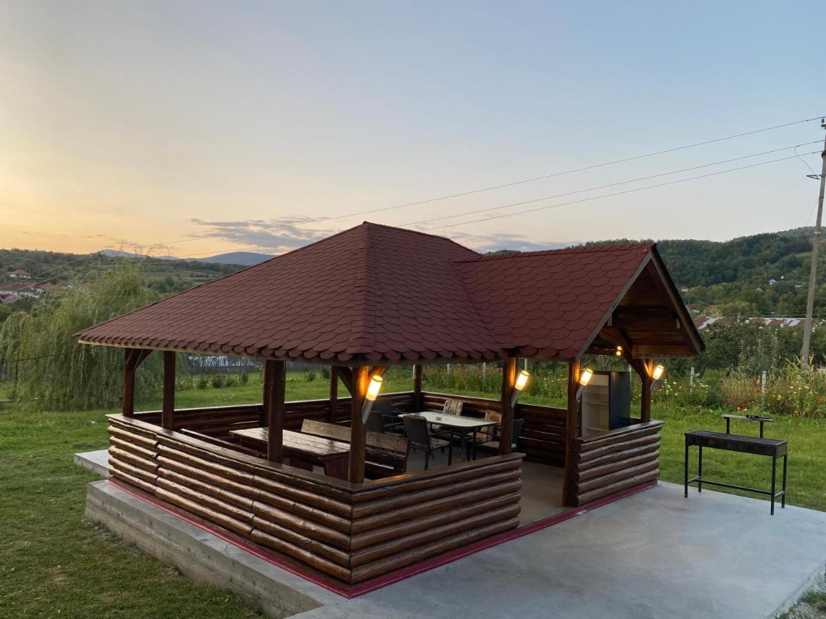 Casa De Vacanta Madalina Novaci-Străini Екстериор снимка