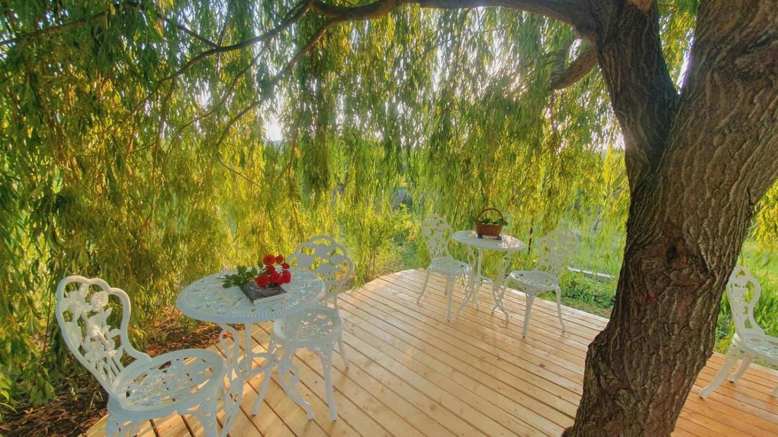 Casa De Vacanta Madalina Novaci-Străini Екстериор снимка