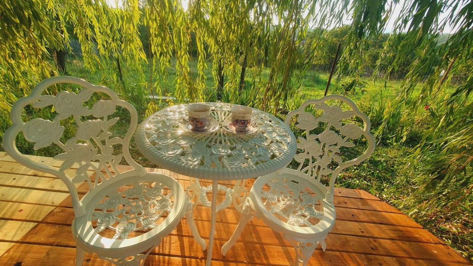 Casa De Vacanta Madalina Novaci-Străini Екстериор снимка