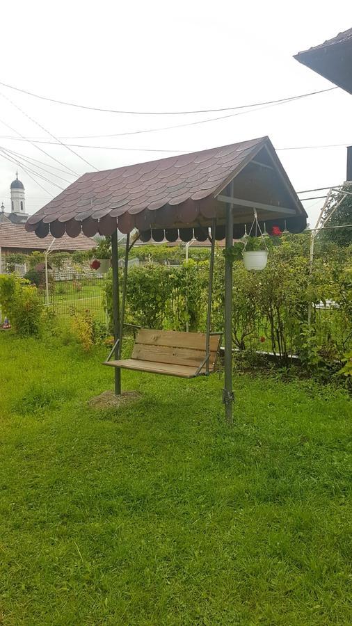 Casa De Vacanta Madalina Novaci-Străini Екстериор снимка