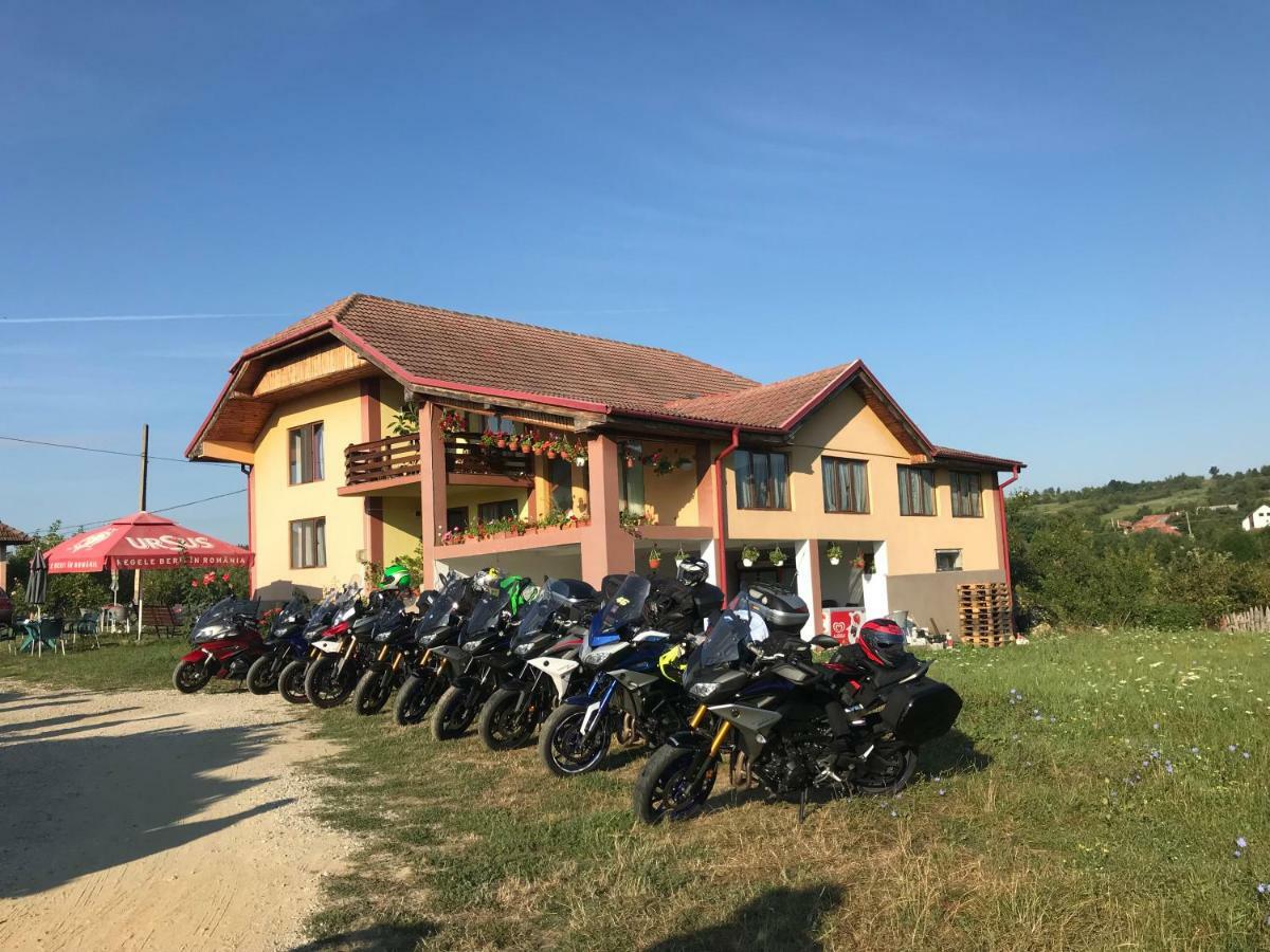 Casa De Vacanta Madalina Novaci-Străini Екстериор снимка