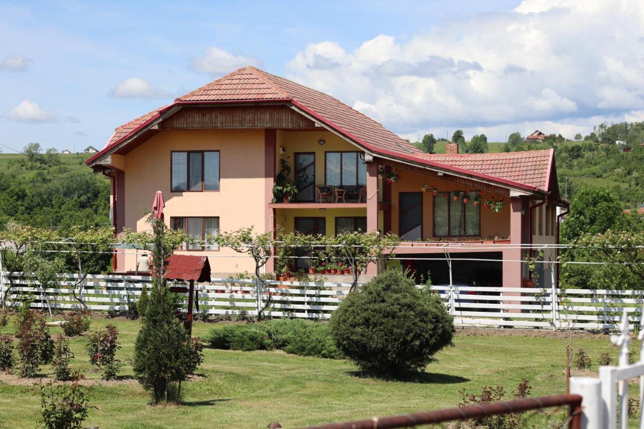 Casa De Vacanta Madalina Novaci-Străini Екстериор снимка